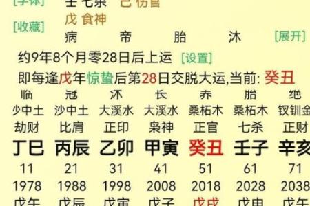 炉中火命的最佳命格搭配解析:助你获取人生的成功与幸福