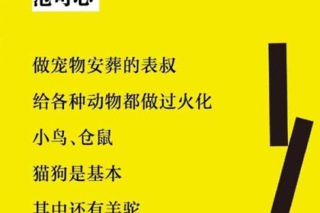 命里缺火？用这些名字点燃你的灵魂！