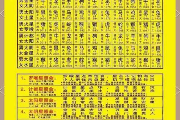 探索木命起名的奥秘：如何选择合适属性的汉字