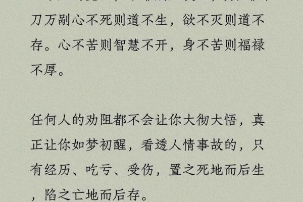 探寻“民不堪命，堪命”的深刻哲理与人生启示