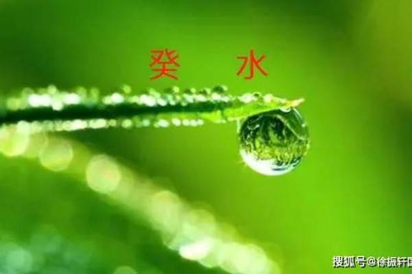 癸水的秘密：探寻命盘中癸水的深层含义与人生启示