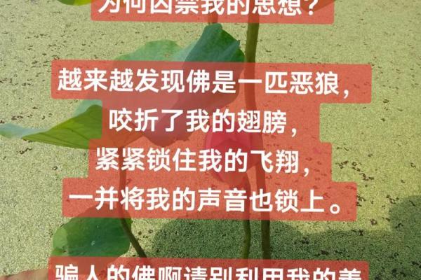 命里三道锁，揭示人生密码的秘密与迷思