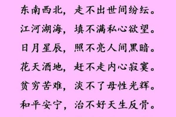 命垂旦夕：细腻情感背后的生命哲思与人生选择