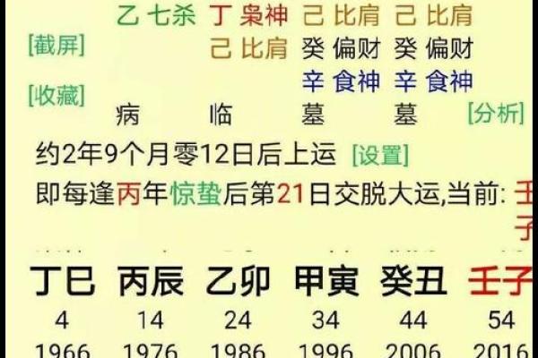 农历十月份：五行命理解析与人生启示