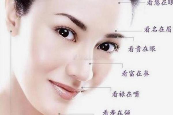 连心眉与断掌：分析这种面相在命理中的影响