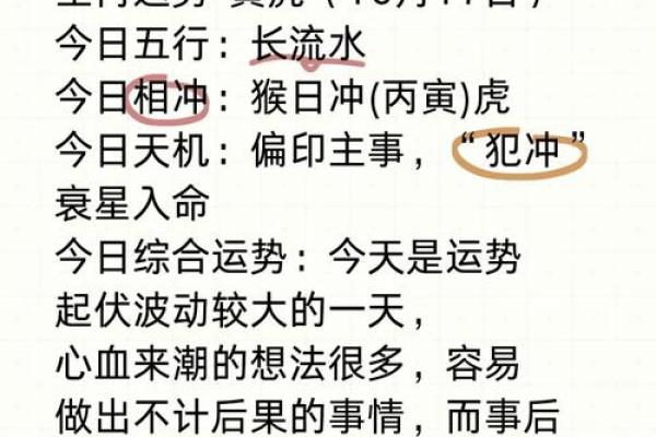 凌晨两点出生成的虎命解读——你的命运与生俱来的气场