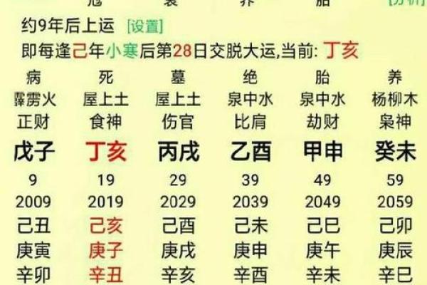 命局带贵气，职业选择的最佳指南与启示
