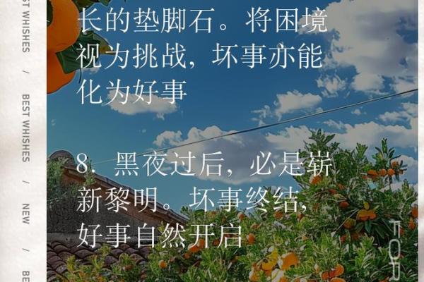 命运的桥梁：成语背后的深刻哲理与人生启示