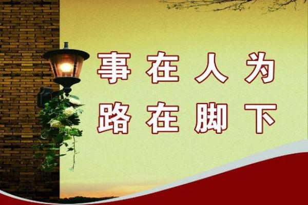 命运的桥梁：成语背后的深刻哲理与人生启示
