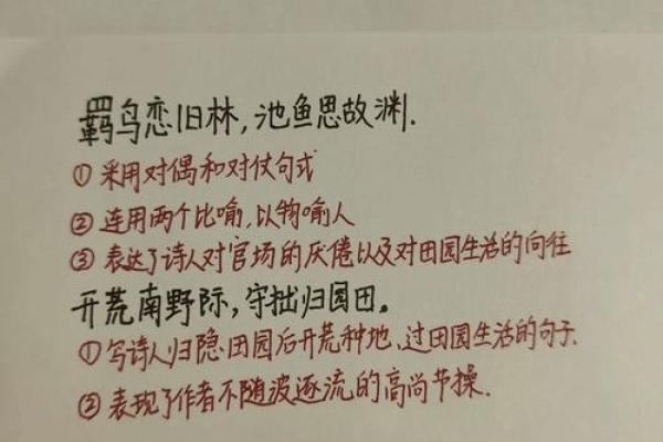 篱外海棠格的命运解析：潜藏在花海中的人生哲理与启示