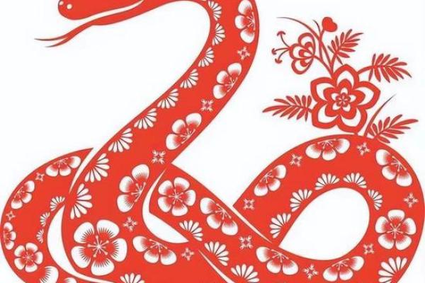 深入探索：凌晨四五点的蛇象征着什么命运？