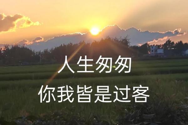 命里本来什么都没有，这一生我们该如何精彩？