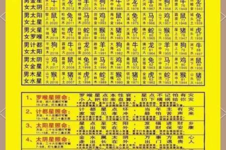探索木命起名的奥秘：如何选择合适属性的汉字