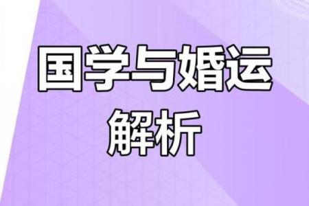 探索命理之道：解析每一年份的命与运势