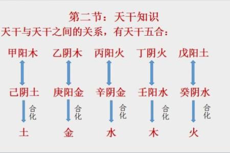 命理解读：不工作的人生背后的命运秘密与启示