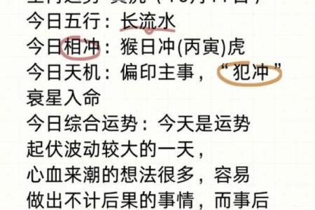 凌晨两点出生成的虎命解读——你的命运与生俱来的气场