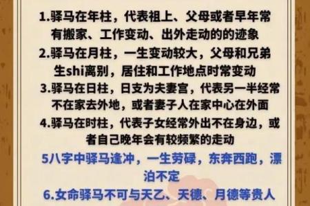 女命带骡马星：探寻命理中的神秘象征与人生意义