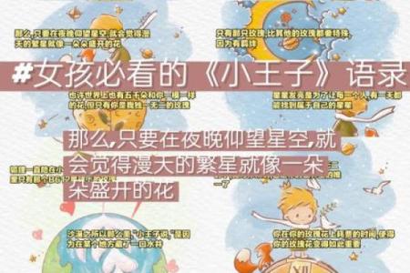 玫瑰命:揭开这个迷人词汇背后的浪漫与深意