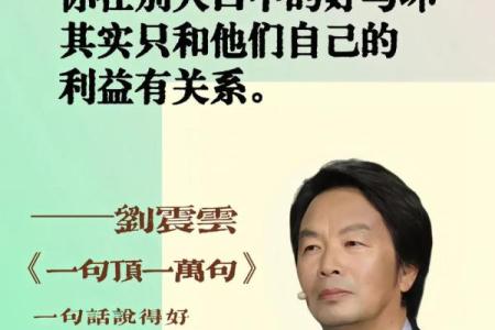 拼过命叛过心,只要你懂——岁月的歌声与情感的交织