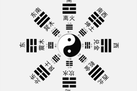 通过八字看命理，揭示你的人生命运与潜力！