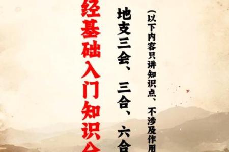 卯木的奥秘:在命局中数字背后的深意与启示