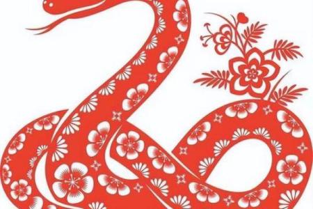 深入探索：凌晨四五点的蛇象征着什么命运？
