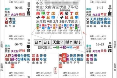 男命月柱七杀比肩的独特解析与运势探秘