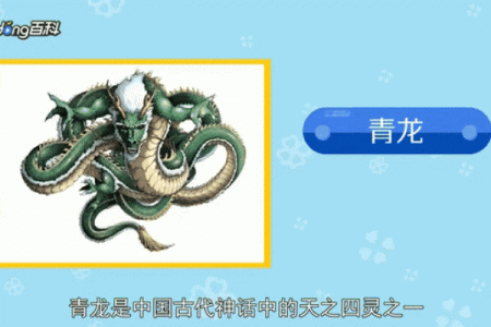 女性青龙命是什么命?揭开神秘命理的面纱