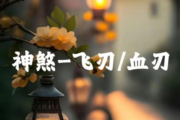 深入解读：命里有血刀，掌握命理中的深刻寓意与人生启示