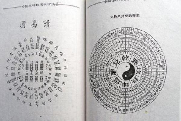 探秘命卦：干支与命局之间的奇妙关系