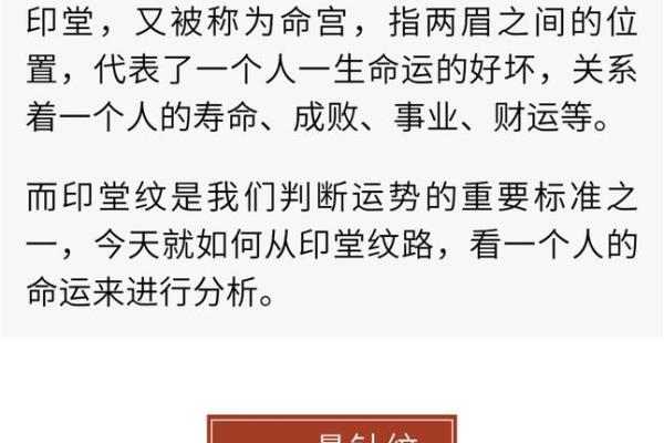 探秘摸金三转：最适合你的命纹解析