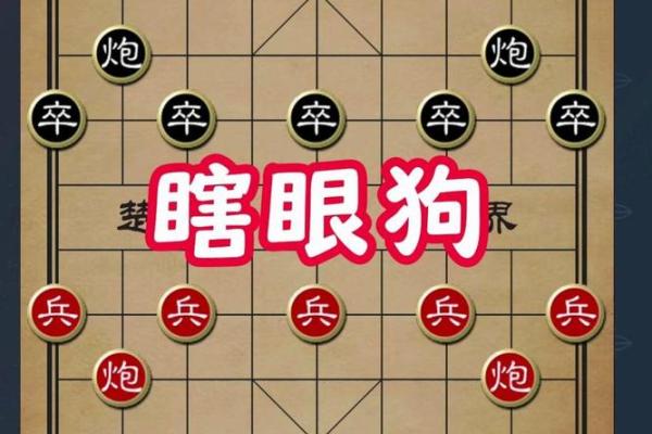 命里缺狗的原因与破解之道，教你如何改变命运！