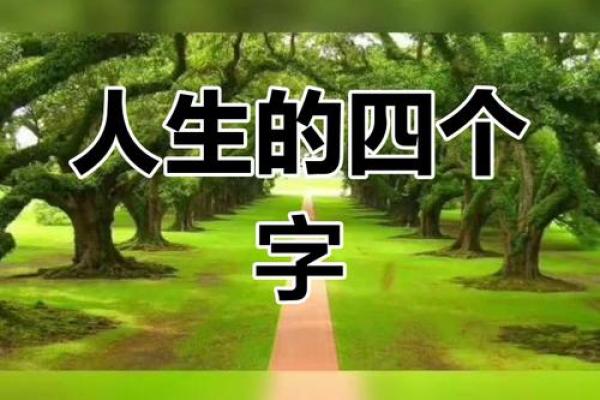命乃命也，探寻命运的深层含义与人生的真谛
