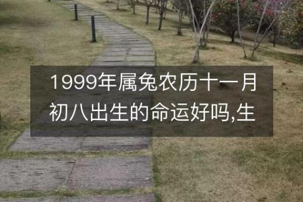 农历五月出生的人：命格与性格分析，助你开启美好人生