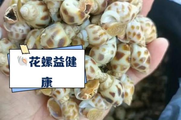 揭秘女人手上3个螺的秘密：命运与生活的深度联结