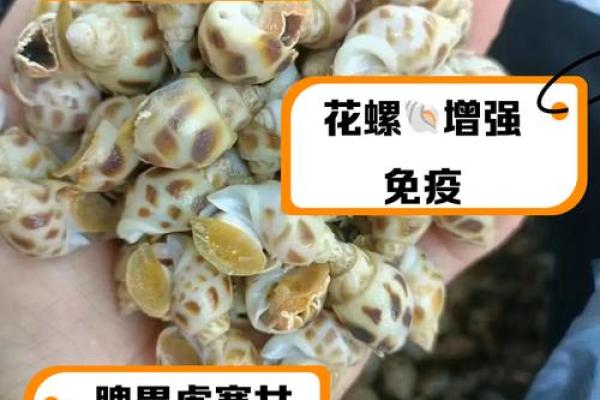 揭秘女人手上3个螺的秘密：命运与生活的深度联结
