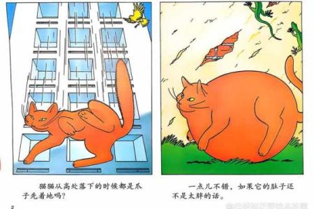 猫受伤时为何要救人类的生命?这些故事告诉你真相!