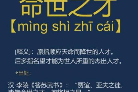 探索成语的魅力：不以“命”开头的优雅词汇