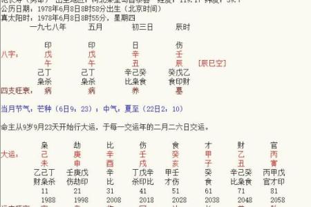 命理分析师的职业魅力与发展前景探讨