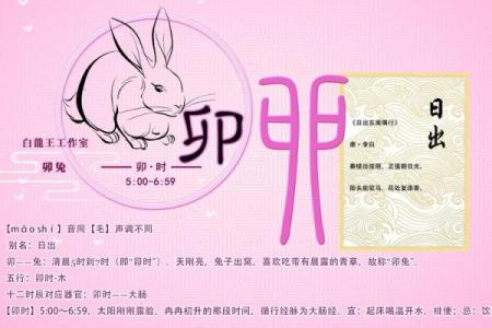 卯时出生的羊在五月的命运解析:解锁人生的可能性与未来发展机遇
