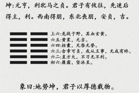探讨坤命与各命卦的神秘联系与人生智慧