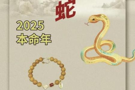 命里三条蛇的深意:探秘生命中的神秘符号与启示