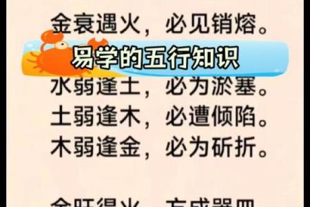 命里藏五行，探寻人生的奥秘与智慧