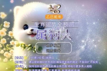 生肖狗：六月初十出生者的命运与性格解读