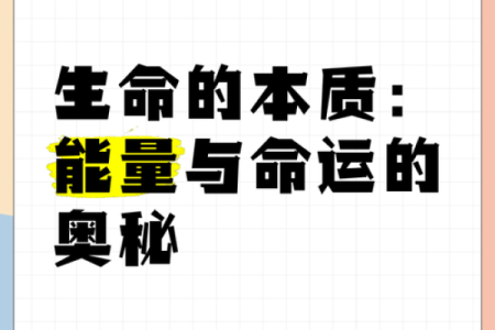 女四两一钱命理解析:揭示命运与性格的奥秘