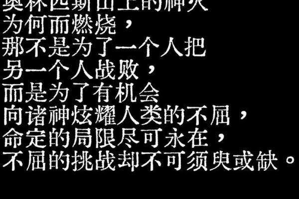 摞你命3000：一场关于人生、时间与选择的哲思之旅