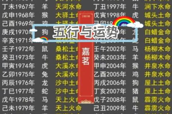 探秘2007年猪年出生的命运：在五行中如何生存与发展？