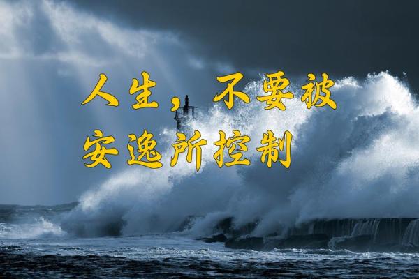 乐趣无穷，命运掌握在自己手中——探索生活中的乐与命之道