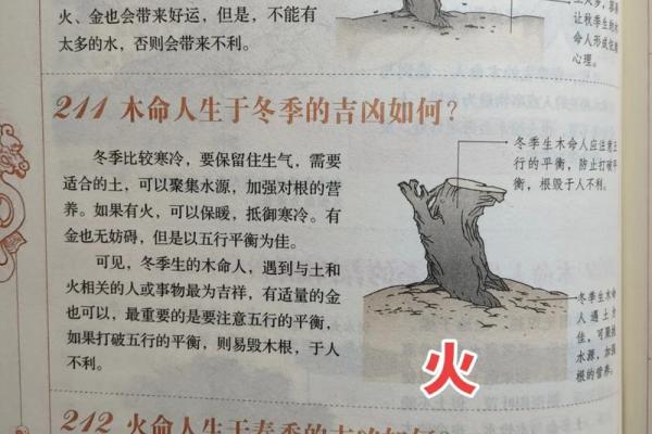 女水命如何选择最佳命格搭配，与命理相辅相成的智慧之谈