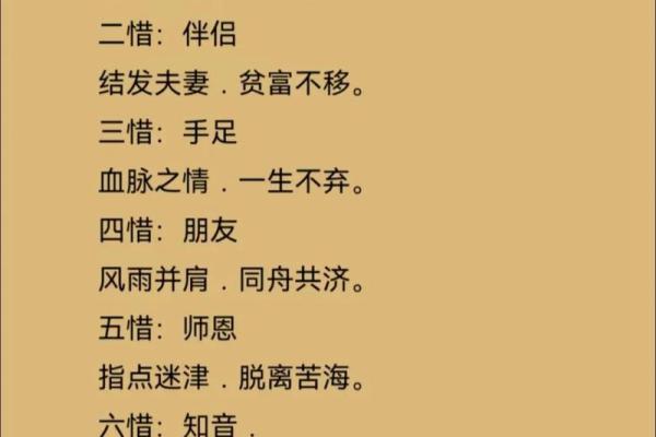 每人只有九条命，探寻生命的意义与珍惜的价值